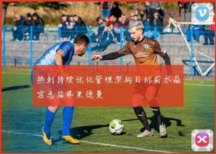 热刺持续优化管理架构目标前水晶宫总监弗里德曼